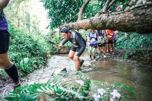 BIB: 
                            <button type="button" onclick="openModal(25476024)" class="btn btn-primary btn-sm float-right btn-popup" data-toggle="modal" data-target=".modal-high-quality">
                        <i class="fas fa-shopping-cart"></i> Add to Cart
                    </button>
                                            <button type="button" onclick="isThisMe(25476024, true)" class="btn btn-success btn-sm float-right btn-popup btn-isme hidden" data-toggle="tooltip" data-placement="bottom" title="นี่คือรูปของคุณใช่ไหม คลิกที่นี่เพื่อเอาเข้าอัลบั้ม">
                        <i class="fas fa-plus"></i> Add to album
                    </button>
                    <button type="button" onclick="isThisMe(25476024, false)" class="btn btn-warning btn-sm float-right btn-popup btn-isnotme hidden">
                        <i class="fas fa-ban"></i> Remove from album
                    </button>